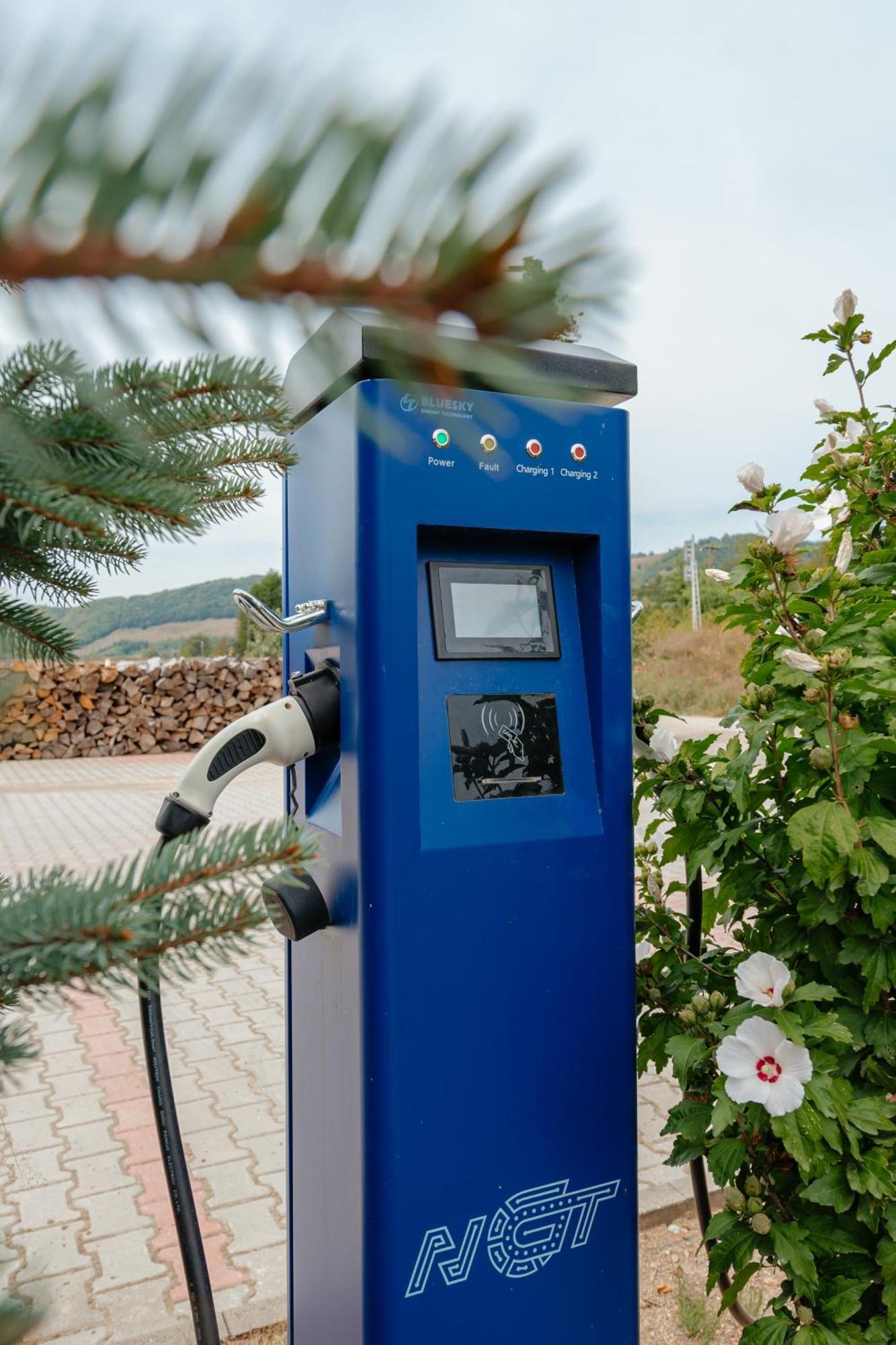 Pensiunea Mirabilandia Negreni Εξωτερικό φωτογραφία